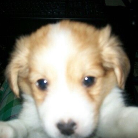 Meet your Posher, Doha - Picture 1 of 1